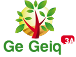 GEIQ 3A