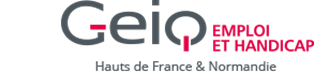 GEIQ EMPLOI ET HANDICAP